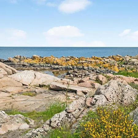 Apartament In With Wifi *